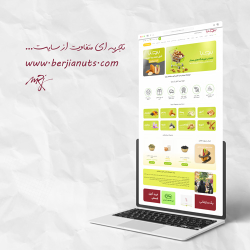 طراحی سایت آجیل و خشکبار برجیا